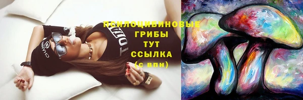 скорость Бронницы
