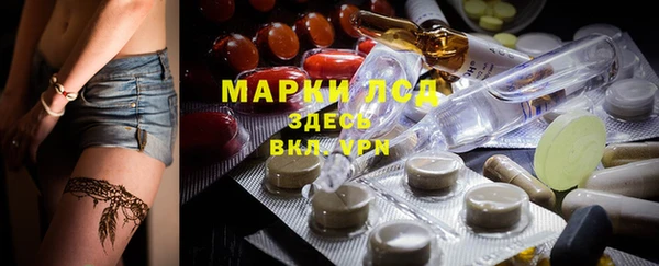 ГАЛЛЮЦИНОГЕННЫЕ ГРИБЫ Бугульма
