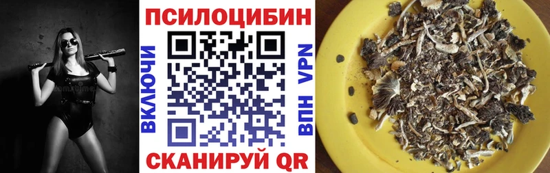 blacksprut ссылка  Рязань  Галлюциногенные грибы прущие грибы 